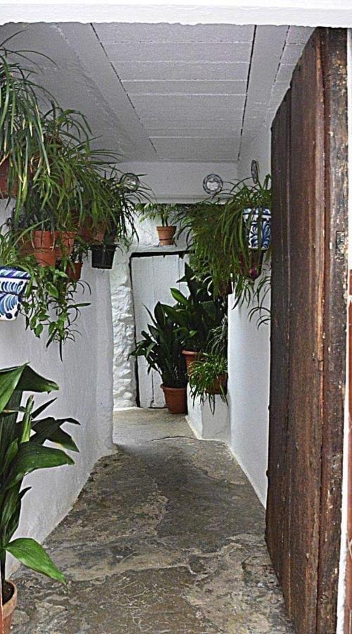 Casa De La Portuguesa, Bonita Terraza Con Barbacoa Guejar Sierra